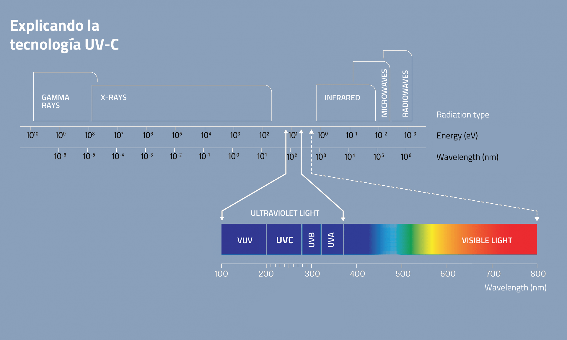 WonderX-Tecnología-PMH